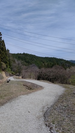 DSC_4908