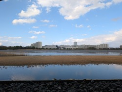 PXL_20250320_055415899