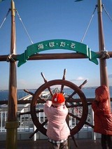 acc41567.jpg