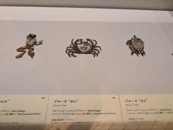 PXL_20250504_055855426