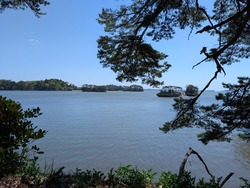 PXL_20260502_015013115