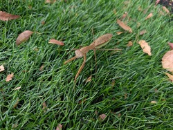 PXL_20251101_020054948