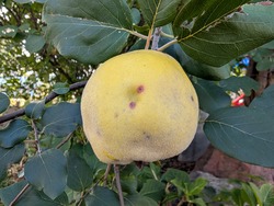 PXL_20251011_001721621