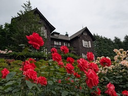 PXL_20250524_072304006