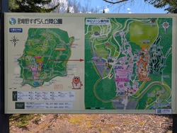 PXL_20250505_030530450