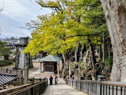 PXL_20251102_023619218~2