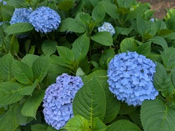 PXL_20260601_020043925