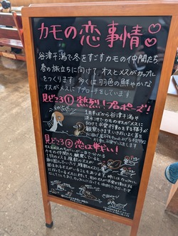 PXL_20250320_054948584