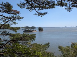 PXL_20260502_014816825