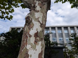PXL_20260926_023503932