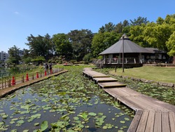 PXL_20260510_003821705