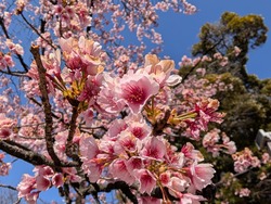 PXL_20260314_053425315