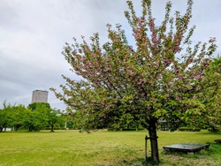 PXL_20260503_220125776~2