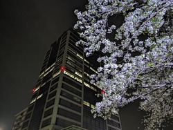 PXL_20260405_102116771