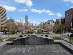 PXL_20250503_024717409