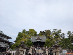 PXL_20251102_021455215