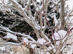 PXL_20260101_024116543~2