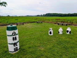 PXL_20250814_021719193~2