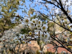 PXL_20250302_044552161~2