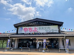 PXL_20260725_012230777~2
