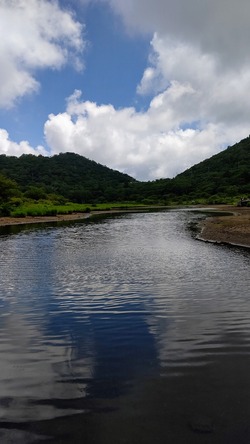 DSC_3937~2