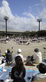 c8169de7.jpg
