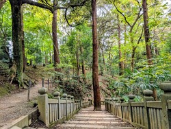 PXL_20251102_022748254~2