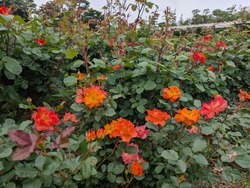 PXL_20260506_050940728