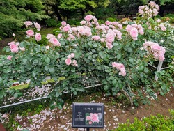 PXL_20250524_072637574~2