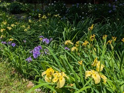 PXL_20260601_021931639