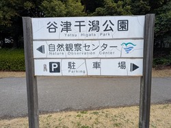 PXL_20250320_011719409