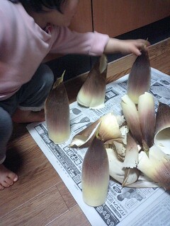 かけだし金融マンのblog タケノコ剥ぎ Livedoor Blog ブログ