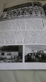 d5c6da12.jpg