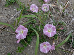 PXL_20260428_225547883