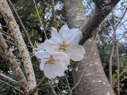 PXL_20250405_033811447