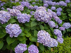 PXL_20250624_061255414