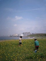 d87f82f0.jpg