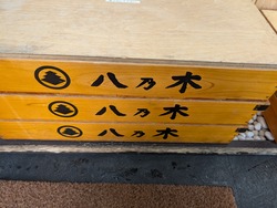 PXL_20260112_040721866