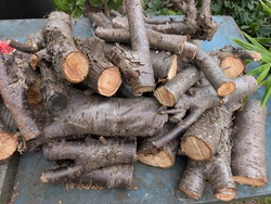 PXL_20251011_032736579