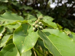 PXL_20250926_232126243