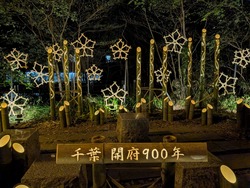 PXL_20260405_095929959