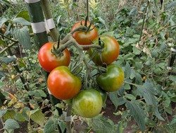 PXL_20250814_222741687