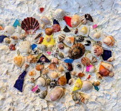 PXL_20250811_050807856~2