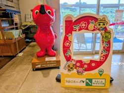 PXL_20250811_071953122~2