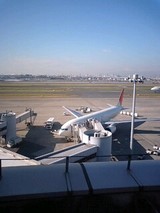 dff6813c.jpg