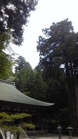 e1e96858.jpg