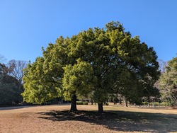 PXL_20260308_043547782