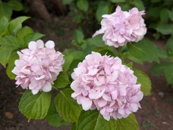 PXL_20250624_061434734
