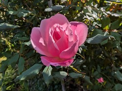 PXL_20261004_024812745
