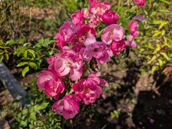PXL_20261004_025022587